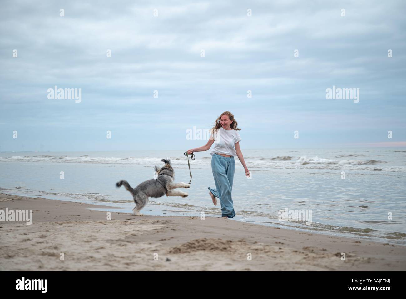 Femme marchant avec un chien ludique sur la plage de sable de la mer du Nord, Danemark Banque D'Images