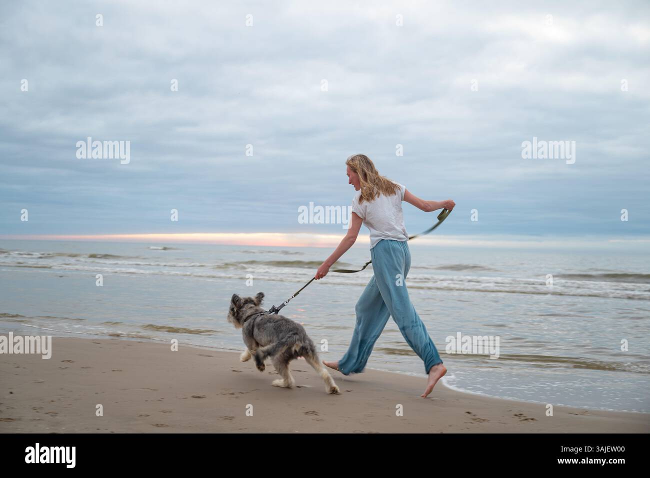 Femme marchant avec un chien ludique sur la plage de sable de la mer du Nord, Danemark Banque D'Images