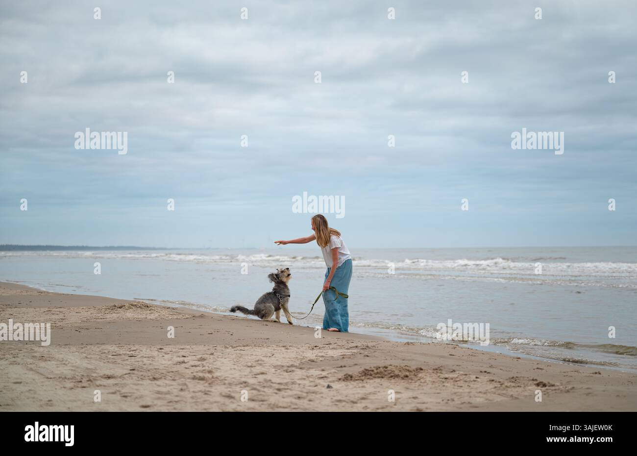 Femme marchant pieds nus avec son chien sur la plage de la mer du Nord, Danemark Banque D'Images