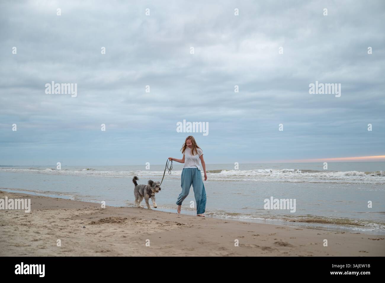Femme marchant pieds nus avec son chien sur la plage de la mer du Nord, Danemark Banque D'Images