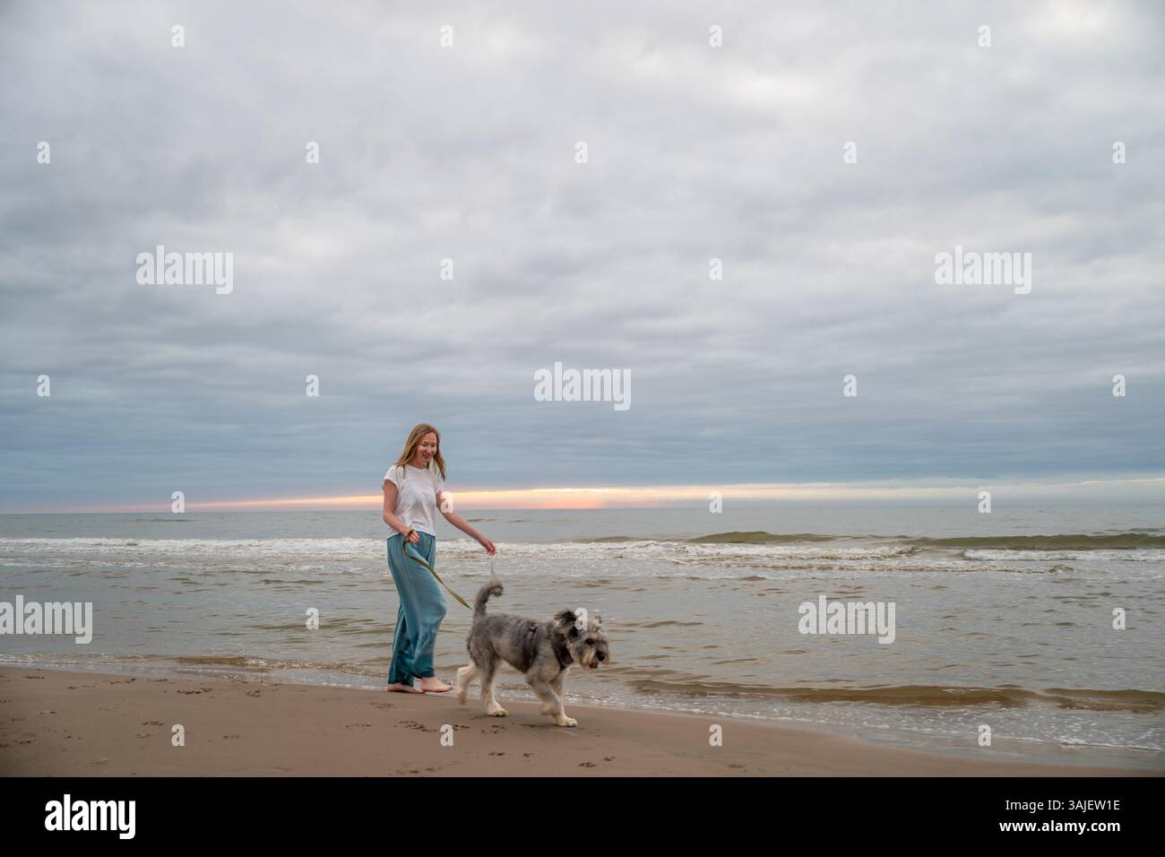 Femme marchant pieds nus avec son chien sur la plage de la mer du Nord, Danemark Banque D'Images