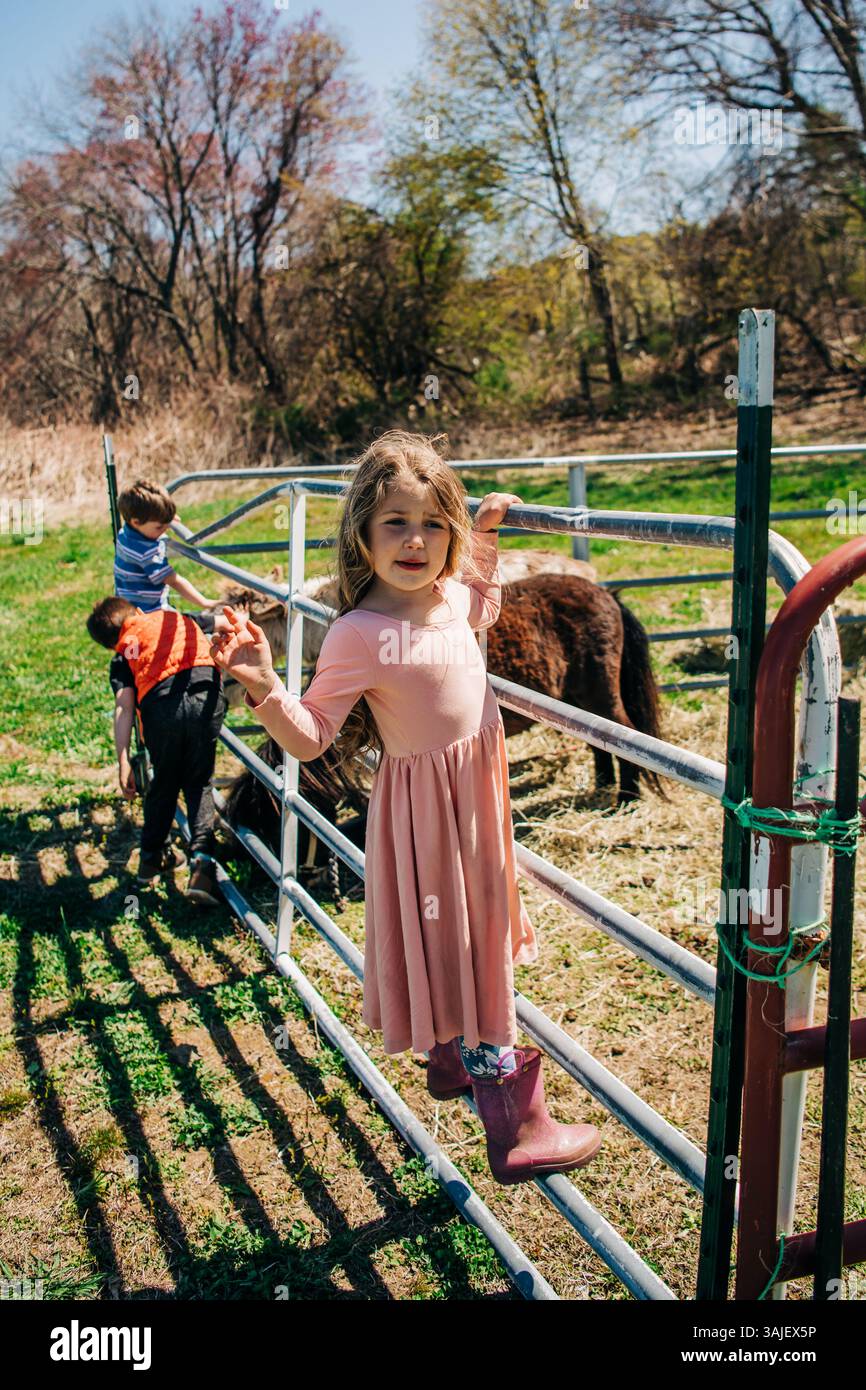 Les enfants grimpent une clôture pour regarder des poneys dans un paddock ensoleillé Banque D'Images