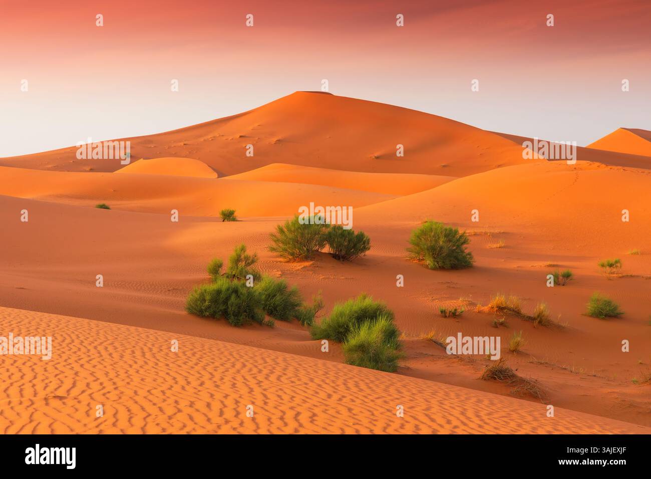 Merzouga, Maroc. Dunes de sable ERG Chebbi au coucher du soleil dans le désert du Sahara, Afrique du Nord. Banque D'Images