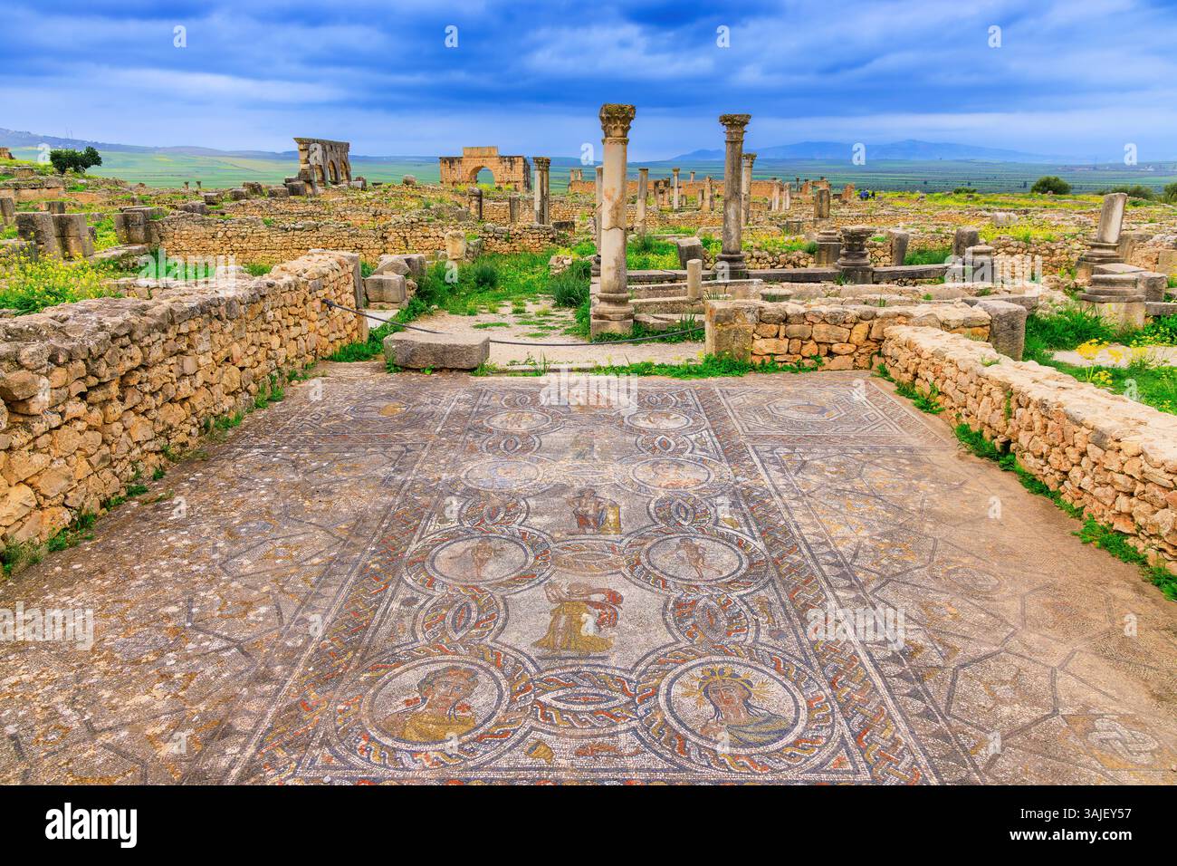 Volubilis, Maroc. Mosaïques de la ville historique de la Mauretania romaine. Banque D'Images