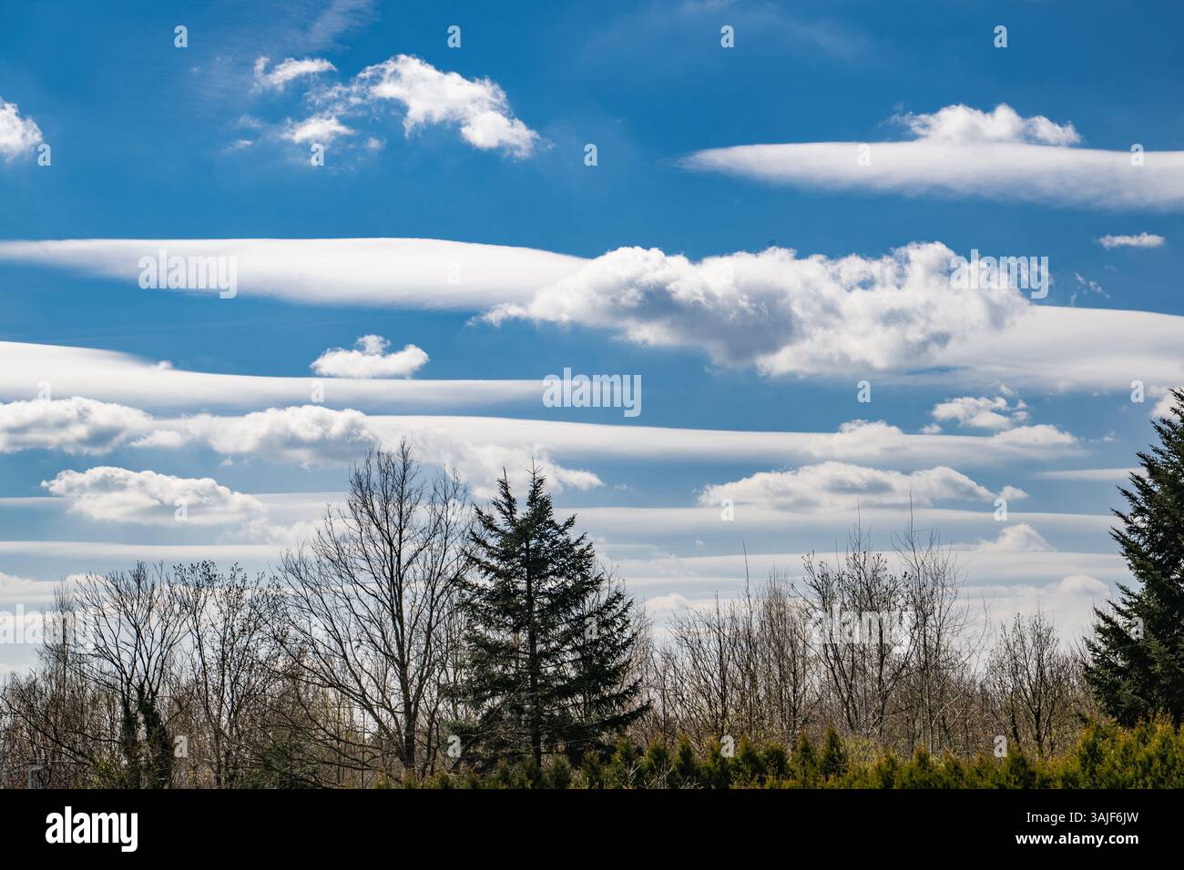 Les nuages blancs moelleux s'étendent en formations parallèles sur un ciel bleu éclatant, créant un contraste enchanteur avec les silhouettes des arbres en contrebas. Thi Banque D'Images
