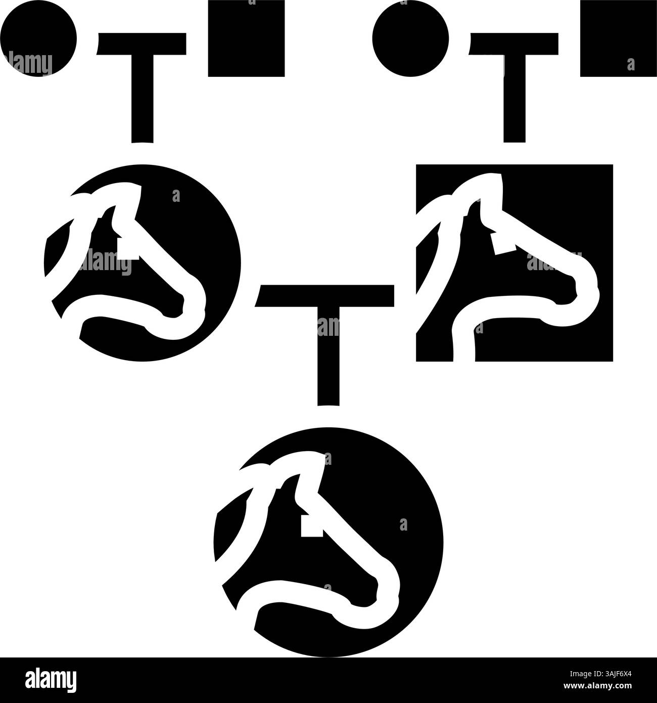 tableau de pedigree graphique cheval élevage illustration vectorielle d'icône de glyphe Illustration de Vecteur