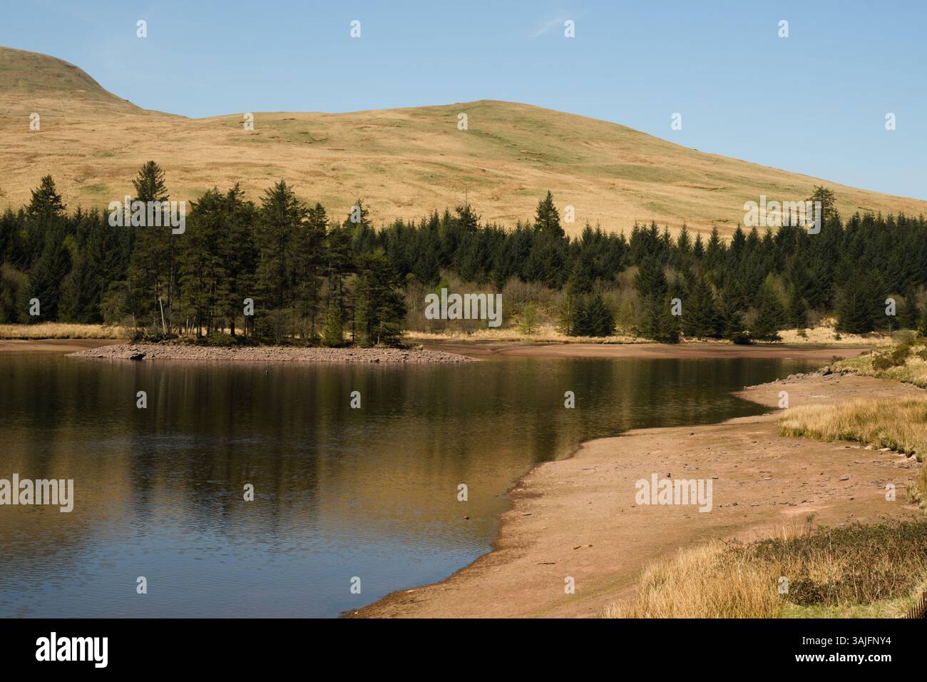 Réservoir Beacons, Brecon Beacons, South Wales, Royaume-Uni. 11 avril 2025. Météo britannique : après-midi chaud avec des niveaux d'eau légèrement plus bas. Crédit : Andrew Bartlett/Alamy Live News Banque D'Images Réservoir Beacons, Brecon Beacons, South Wales, Royaume-Uni. 11 avril 2025. Météo britannique : après-midi chaud avec des niveaux d'eau légèrement plus bas. Crédit : Andrew Bartlett/Alamy Live News Banque D'Images