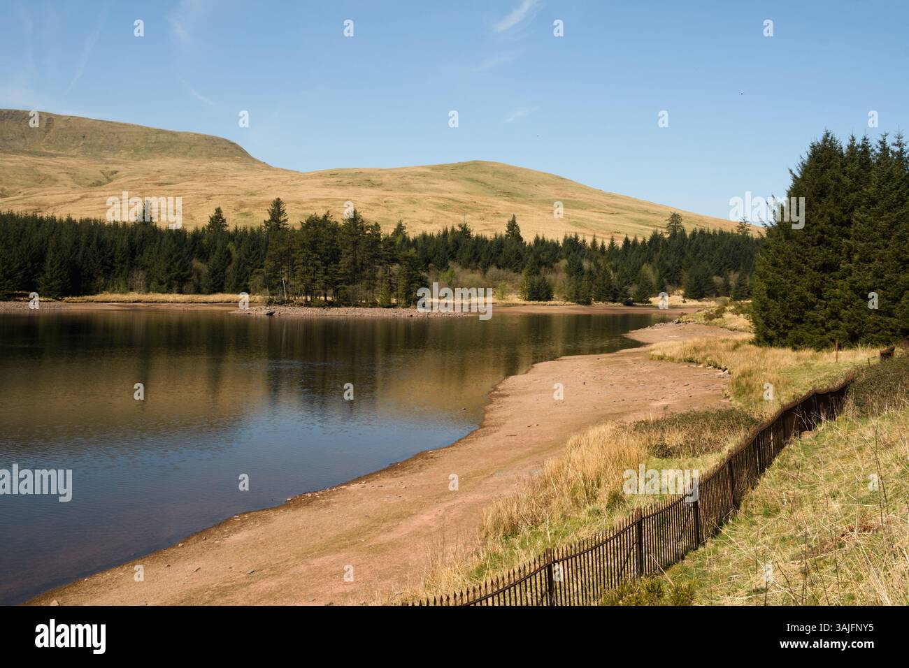 Réservoir Beacons, Brecon Beacons, South Wales, Royaume-Uni. 11 avril 2025. Météo britannique : après-midi chaud avec des niveaux d'eau légèrement plus bas. Crédit : Andrew Bartlett/Alamy Live News Banque D'Images Réservoir Beacons, Brecon Beacons, South Wales, Royaume-Uni. 11 avril 2025. Météo britannique : après-midi chaud avec des niveaux d'eau légèrement plus bas. Crédit : Andrew Bartlett/Alamy Live News Banque D'Images