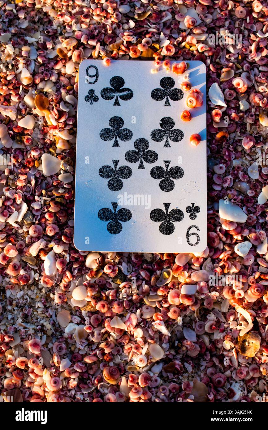 Cartes de poker ou de Blackjack, 9 de trèfles, une seule carte à jouer parmi les petites coquilles roses oubliées sur une plage Banque D'Images