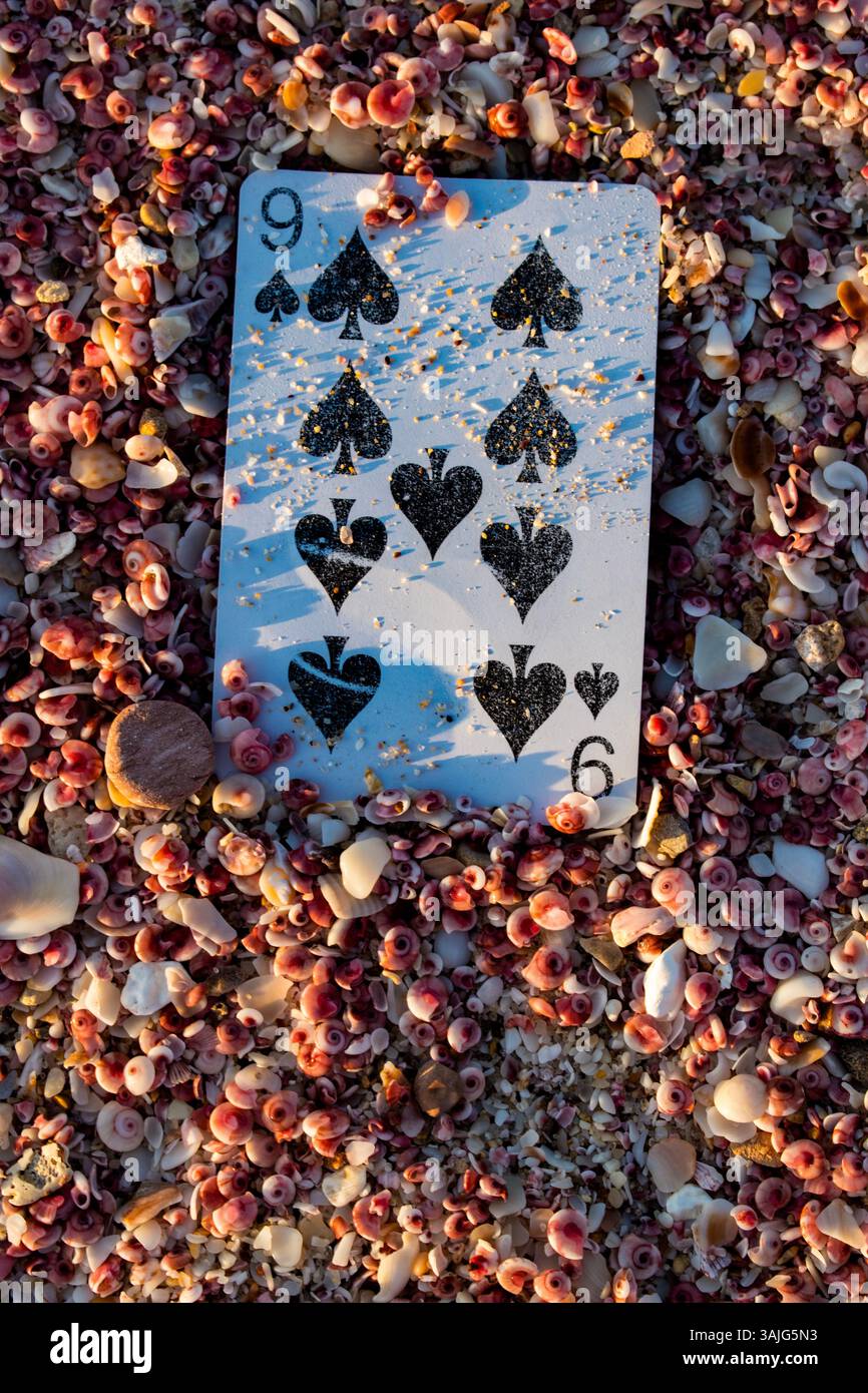 Cartes de poker ou de Blackjack, 9 de pique, une seule carte à jouer parmi les petites coquilles roses oubliées sur une plage Banque D'Images