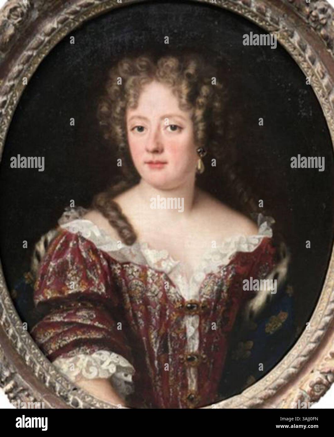 Ce portrait du XVIIe siècle de Jacob Ferdinand Voet représente ...