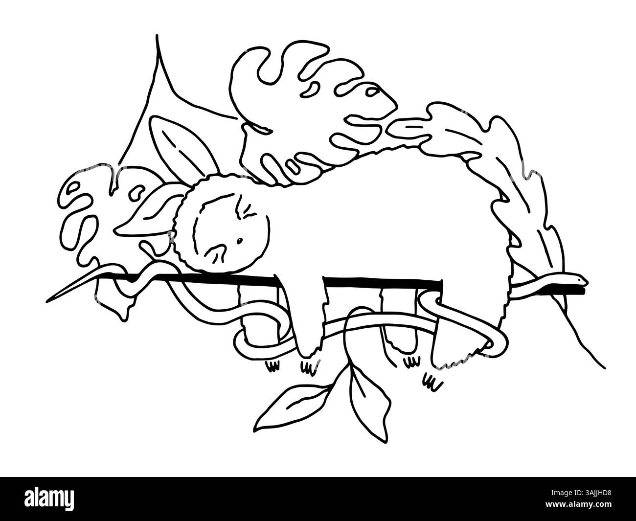 Doodle illustration de bébé paresseux dormant sur l'arbre, serpent s'enroule autour des branches d'un arbre. Illustration d'animaux tropicaux Banque D'Images
