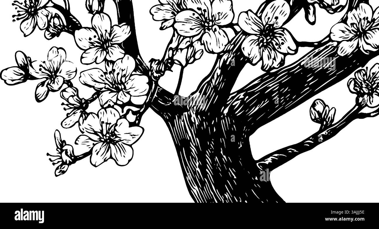 Une illustration détaillée d'une branche d'arbre en fleurs de cerisier avec des fleurs délicates et de l'écorce texturée, mettant en valeur la beauté de la nature dans un style monochrome. Illustration de Vecteur