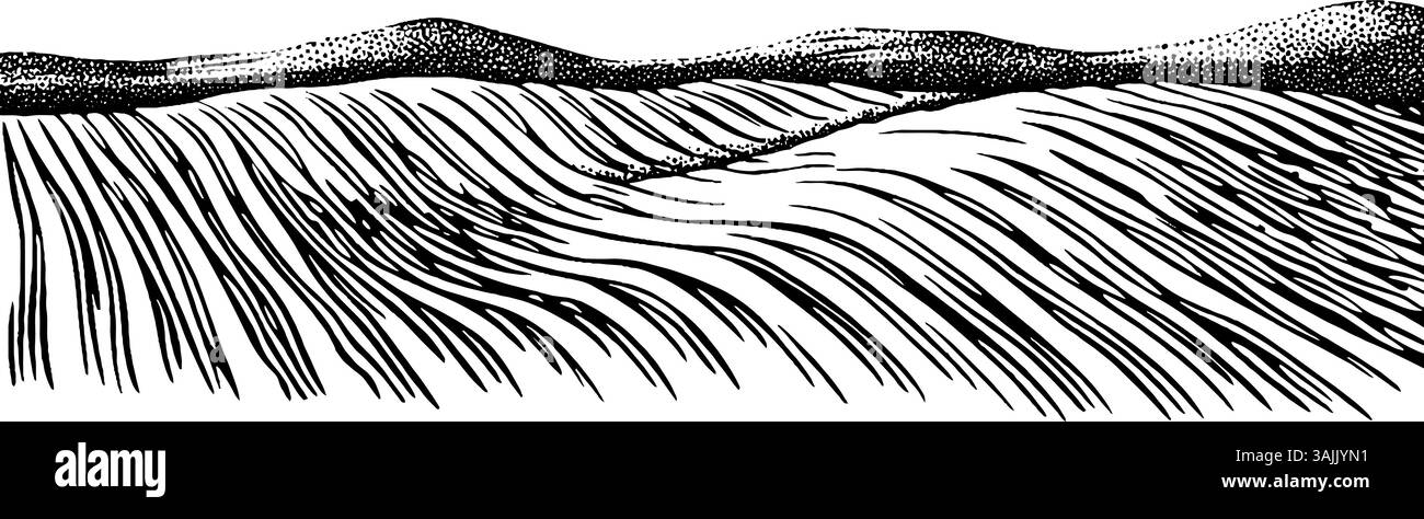 Une illustration détaillée en noir et blanc de collines ou de vagues dans un paysage, mettant en valeur des lignes fluides et des textures qui créent une sensation de mouvement et de profondeur. Illustration de Vecteur