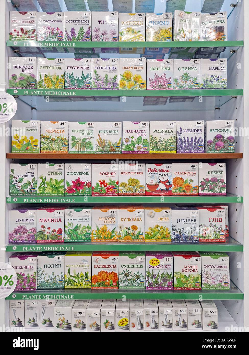 UNGHENI, MOLDAVIE - 05 mars 2024 pharmacie approvisionné les étagères avec des produits de phytothérapie. Médicaments dérivés de plantes pour traiter ou prévenir la santé condit - Image de stock capturée avec un smartphone