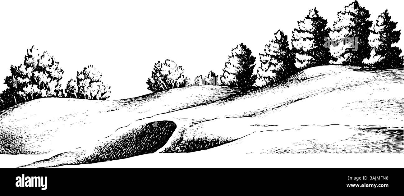 Une illustration en noir et blanc de collines vallonnées avec une petite grotte ou un creux, entourée d'arbres. Le paysage présente un terrain lisse et une variété de formes d'arbres en arrière-plan. Illustration de Vecteur