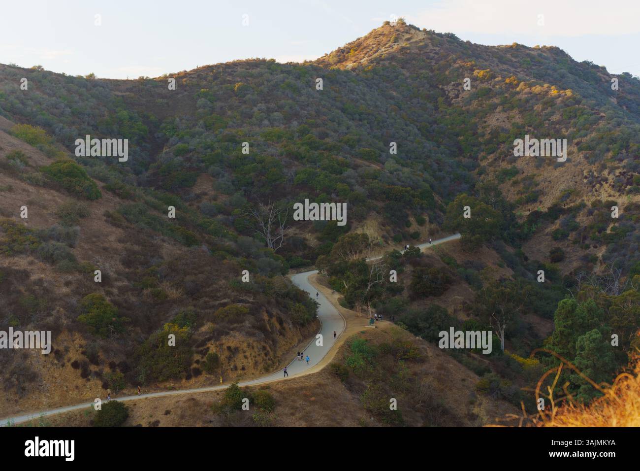 Un groupe diversifié de randonneurs emprunte un sentier sinueux au Runyon Canyon Park, qui offre des vues pittoresques et des paysages naturels de Los Angeles pendant le Ho doré Banque D'Images