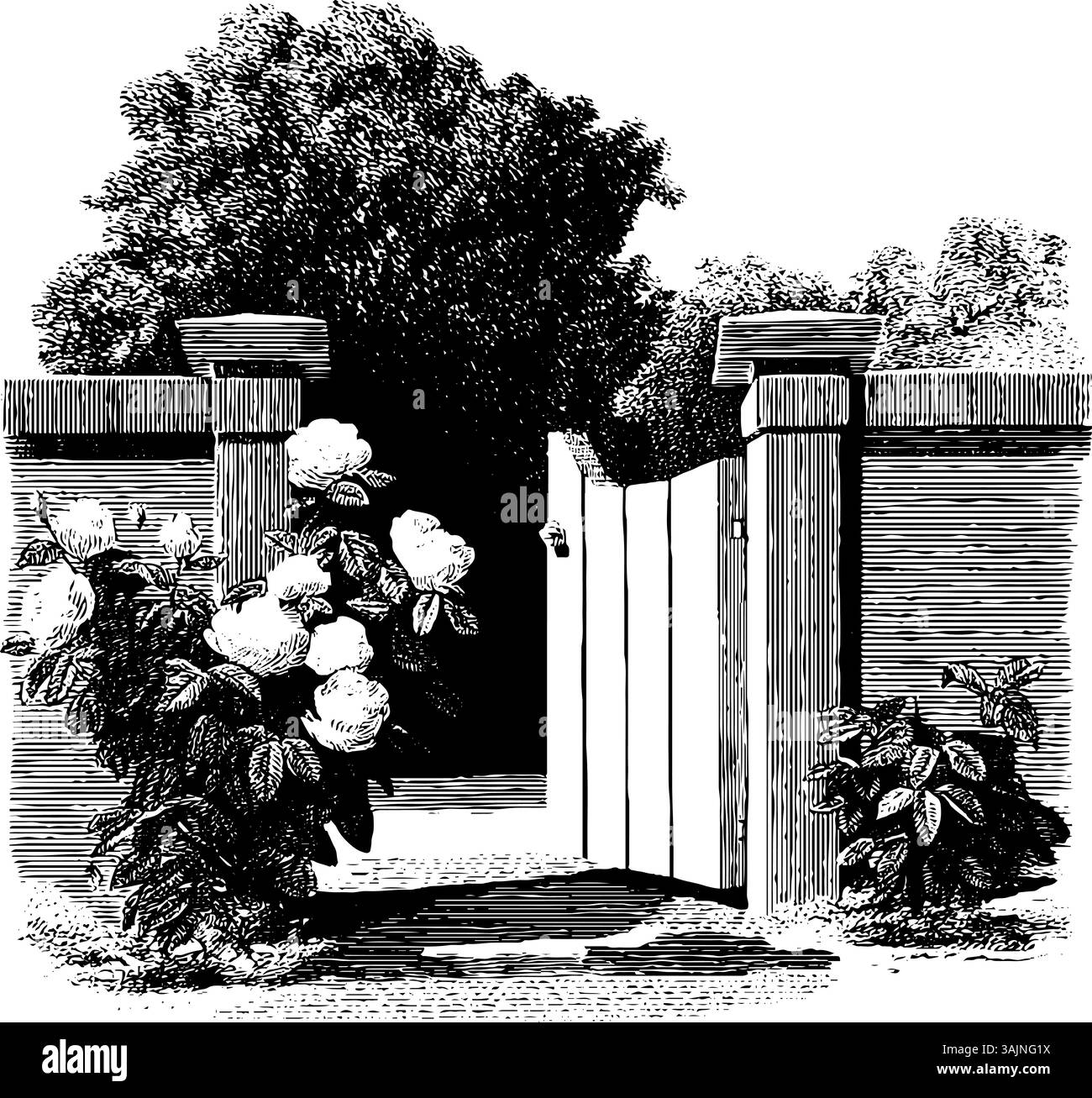 Porte de jardin vintage avec fleurs en fleurs et feuillage luxuriant en noir et blanc. Illustration de Vecteur