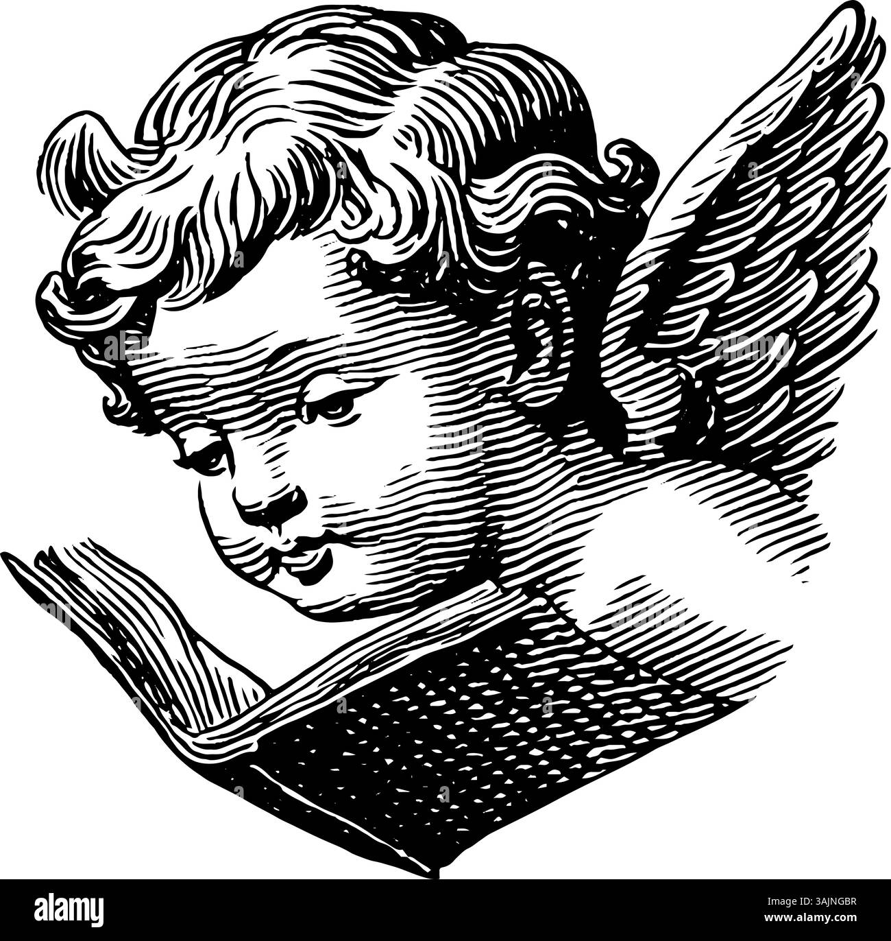Chérubin illustré lisant un livre avec des ailes dans un style vintage. Illustration de Vecteur