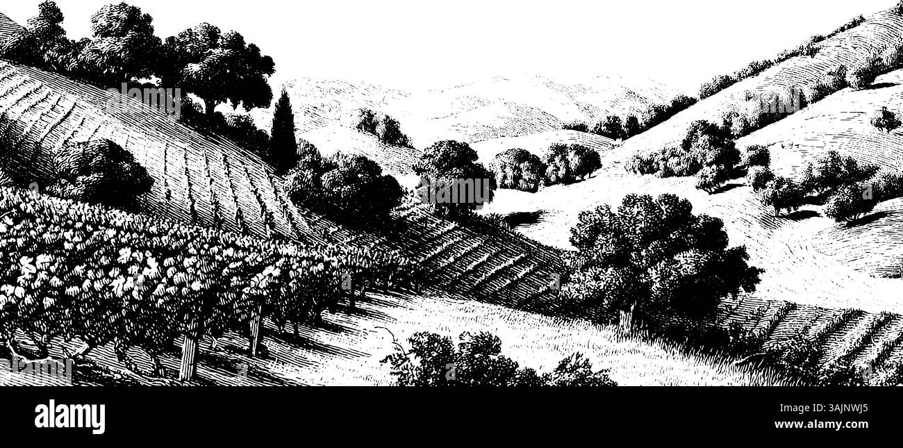 Paysage de campagne noir et blanc pittoresque avec des arbres et des collines ondulantes. Illustration de Vecteur