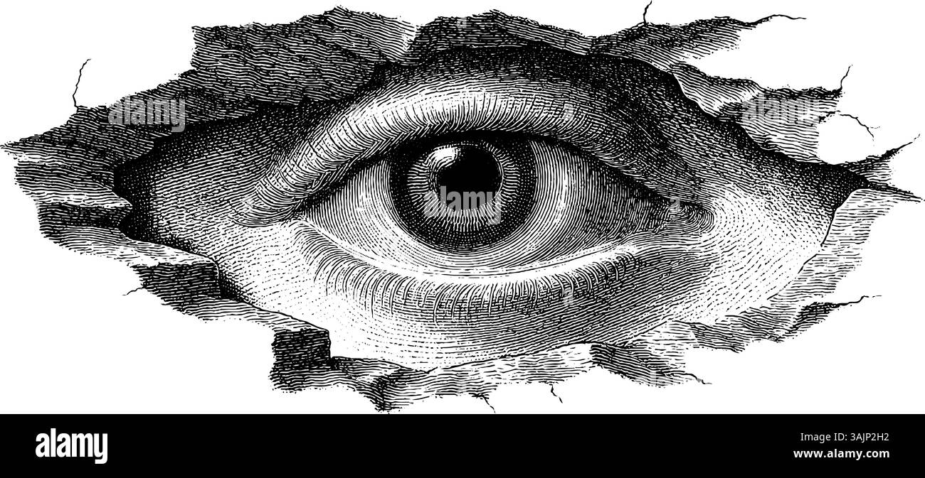 Gravure en noir et blanc complexe d'un œil vigilant entouré de papier déchiré. Illustration de Vecteur