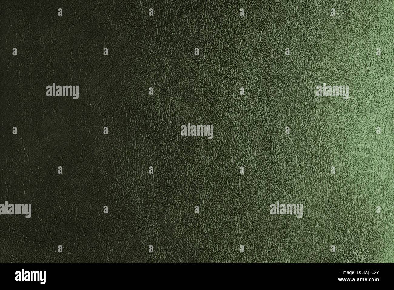 Structure brillante de cuir véritable avec effet de lumière dégradé, surface de peau naturelle avec motif de gaufrage. Artifical kaki coloré leatharette ma Banque D'Images