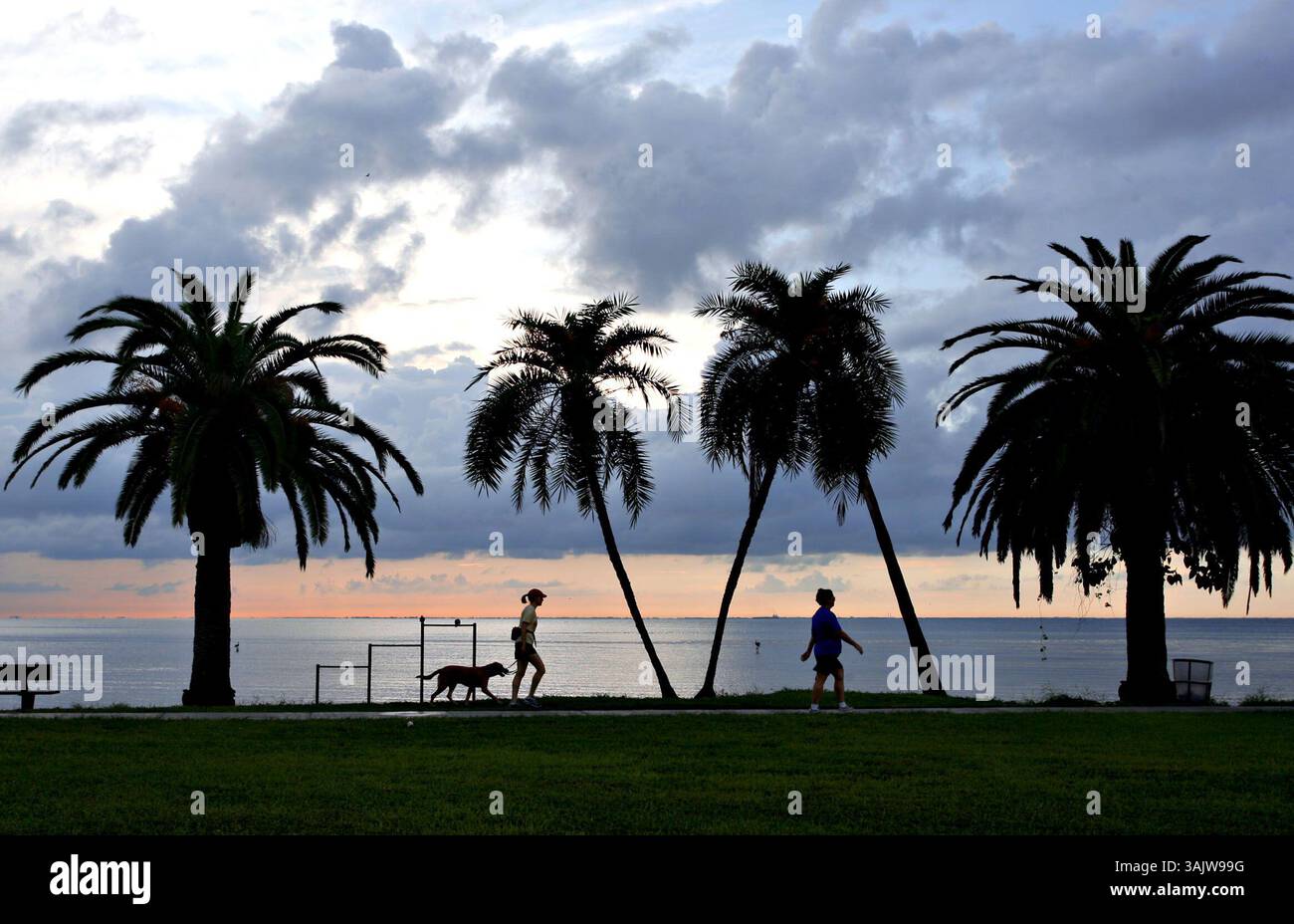 CHERIE DIEZ | Times. SP 313416 DIEZ CENTEN  4(10/16/2009 St PETERSBURG) tôt le matin au parc de North Shore. La ville de Petersburg célèbre 100 ans de parcs riverains l'année prochaine (2010) avec des festivités d'un an. [CHERIE DIEZ, Times] (crédit image : © appartenant Petersburg Times/ZUMA Press) Banque D'Images