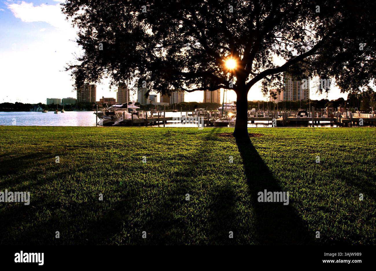 CHERIE DIEZ | Times. SP 313416 DIEZ centen 1 (10/15/2009 St PETERSBURG) fin d'après-midi au Parc Vinoy. La ville de Petersburg célèbre 100 ans de parcs riverains l'année prochaine (2010) avec des festivités d'un an. [CHERIE DIEZ, Times] (crédit image : © appartenant Petersburg Times/ZUMA Press) Banque D'Images