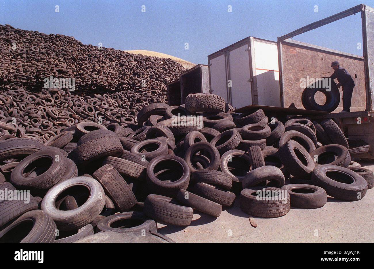 DATE : 08-25-98 PAPIER CUTLINE : (a-2) permis de pneu révoqué ; alors que le premier fumeurs encore à une pile de pneus renégats près de Tracy, l'État prend des mesures pour fermer un autre point de problème potentiel - les 6 millions de pneus près de Westley dans le comté de Stanislaus. Le California Integrated Waste Mangaement Board a révoqué le permis d'exploitation d'Oxford Tire Recycling. Silvester Mendoza décharge ses pneus lundi chez Oxford Tire Recycling, où environ 6 millions de pneus se sont déjà accumulés. PHOTO CUTLINE : Silvester mendoza déchargeant des pneus au Oxford Tire Recycling à Westley. (Crédit image : © Modesto Bee/ZUMA Banque D'Images