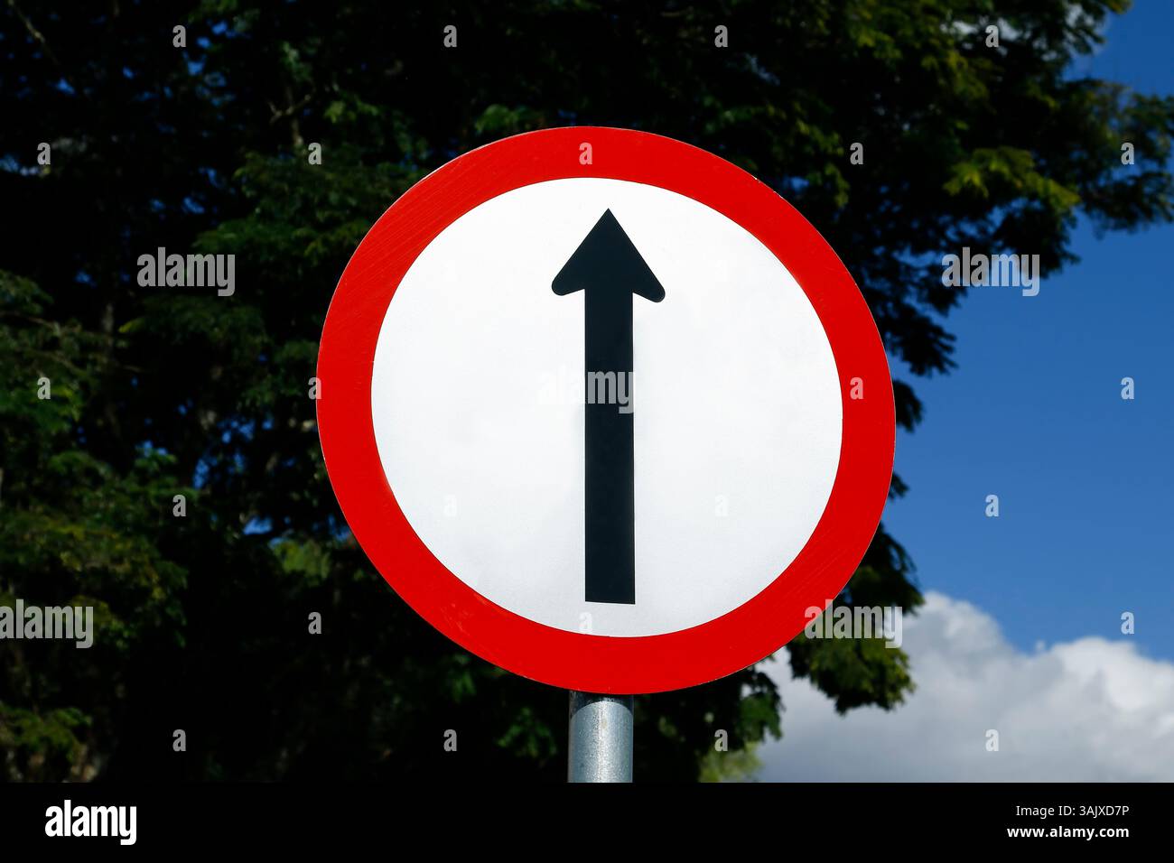 panneau de direction à droite - panneau de direction à droite - allez tout droit Banque D'Images