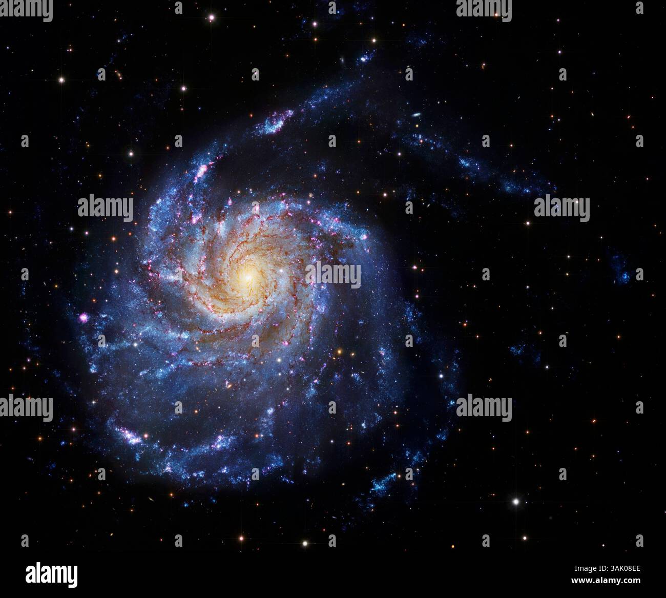 Galaxie spirale M101, image composite. M101 est également connu sous le nom de Pinwheel Galaxy. Elle se trouve à environ 25 millions d'années-lumière de la Terre dans la constellation de l'Oursa majeure. Le disque de la galaxie fait environ 170 000 années-lumière, presque deux fois plus large que notre propre voie lactée. Les bras spiraux apparaissent bleus car ils contiennent de jeunes étoiles chaudes. Le noyau central est jaune car les étoiles sont plus anciennes, et une grande partie de la lumière est obscurcie par la poussière. Données d'images du télescope Subaru de 8,2 mètres (NAOJ) et du télescope spatial Hubble. Banque D'Images