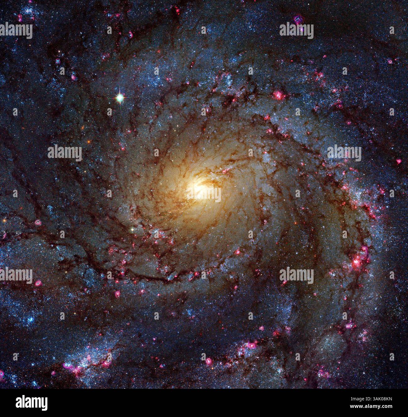 Pinwheel Galaxy (M101, NGC 5457), image HST optique. C'est l'une des plus grandes galaxies spirales connues, à plus de 170 000 années-lumière de large. Le noyau contient principalement des étoiles qui sont plus anciennes et plus jaunes que les bras. Les bras apparaissent plus bleus car ils contiennent des étoiles plus jeunes, et de nombreuses régions d'étoiles brillantes. La galaxie Pinwheel se trouve à environ 27 millions d'années-lumière dans la constellation de l'Ursa Major. Cette image a été obtenue par le télescope spatial Hubble (HST). Banque D'Images