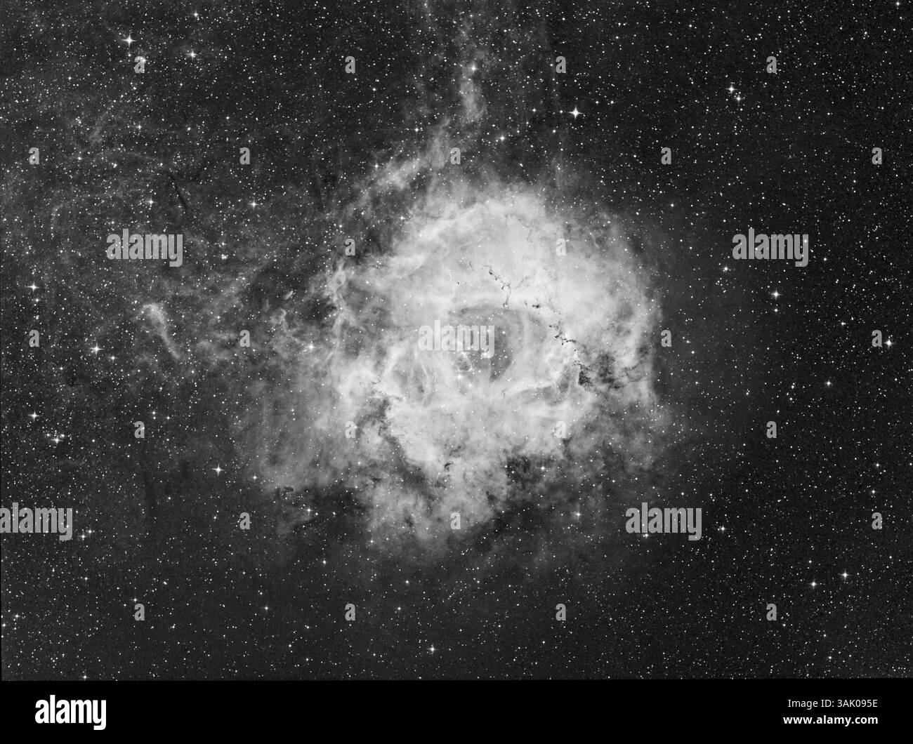 Nébuleuse rosette, image optique. La nébuleuse est cataloguée comme NGC 2237-2239. Il entoure l'amas d'étoiles NGC 2244 (au centre). Il s'agit d'une vaste région de naissance étoilée, où la coalescence du gaz de la nébuleuse a conduit à la formation des étoiles dans l'amas. Les vents stellaires de ces étoiles ont dégagé un trou dans la région qui les entoure, et leur rayonnement ionise l'hydrogène dans la nébuleuse environnante, ce qui l'amène à émettre de la lumière. L'amas et la nébuleuse sont à environ 5000 années-lumière de la Terre dans la constellation de Monoceros. Banque D'Images
