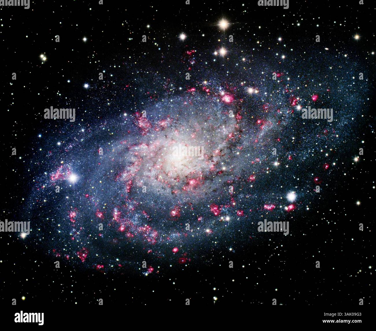 Galaxie Pinwheel (M33), image optique. Cette galaxie spirale fait partie du Groupe local des galaxies qui comprend également notre voie lactée et la galaxie d'Andromède. Il est beaucoup plus petit que notre galaxie et Andromède, cependant. Ses bras spiraux contiennent un grand nombre de régions de naissance étoilée (rose). Ce sont des nébuleuses géantes, qui brillent en rose lorsque le rayonnement des étoiles nouveau-nées ionise l'hydrogène en elles. Cette galaxie se trouve à seulement trois millions d'années-lumière dans la constellation du Triangulum. Banque D'Images