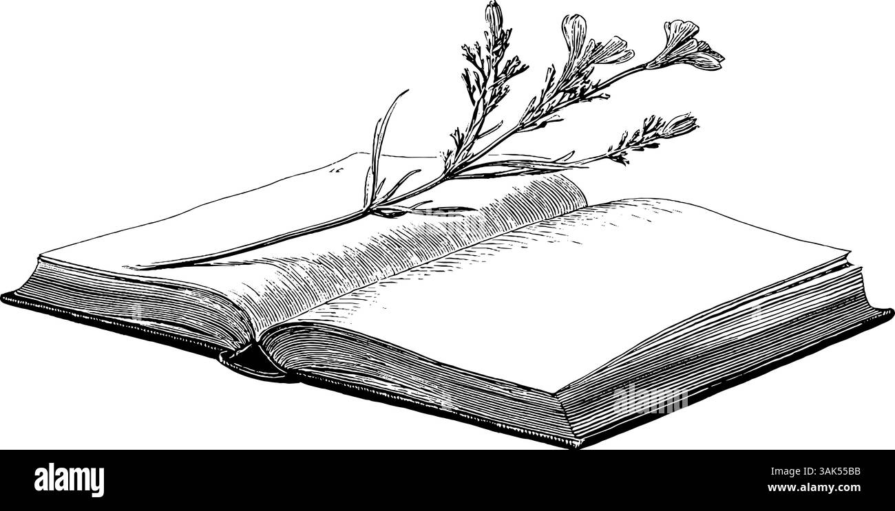 Illustration vintage gravée d'une petite fleur pressée dans un livre ouvert. Illustration de Vecteur