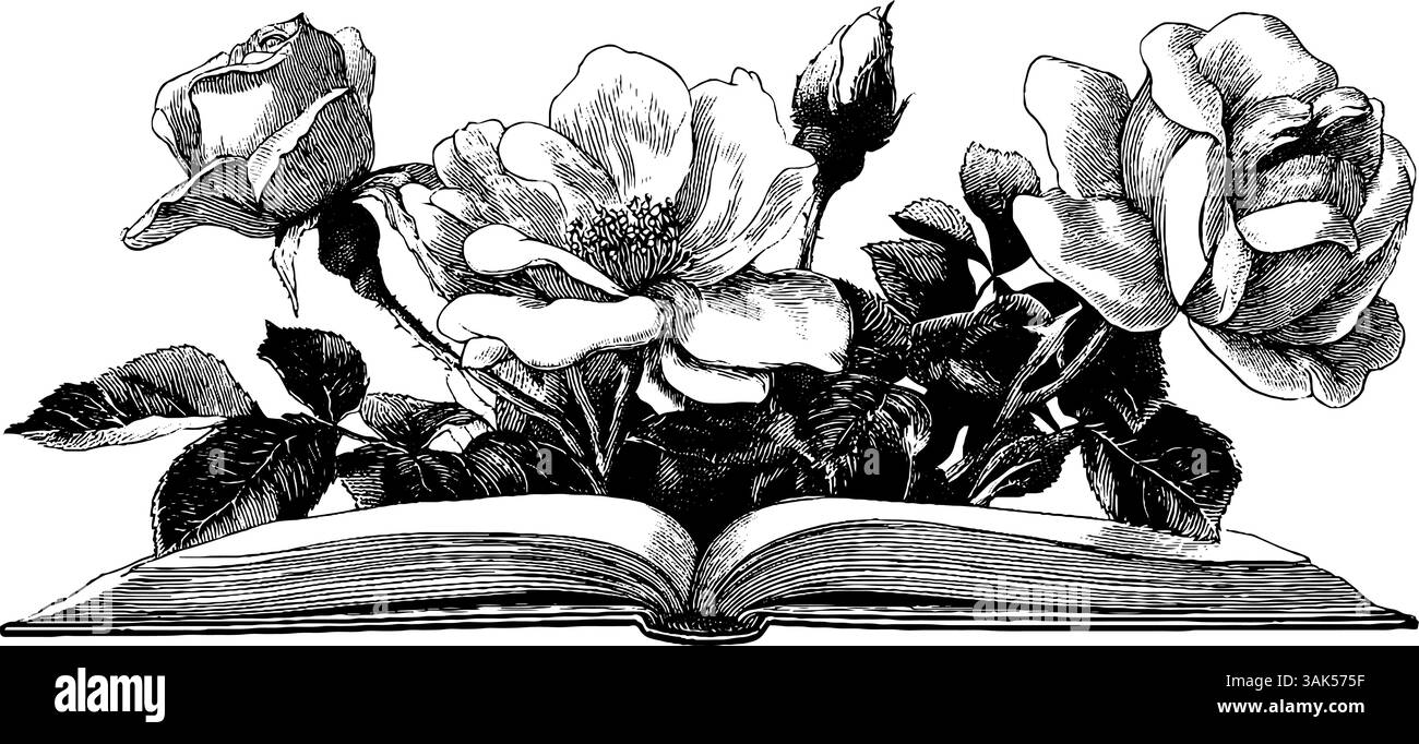 Illustration gravée de livre d'or de mariage ouvert avec des roses pour la conception d'événement romantique. Illustration de Vecteur