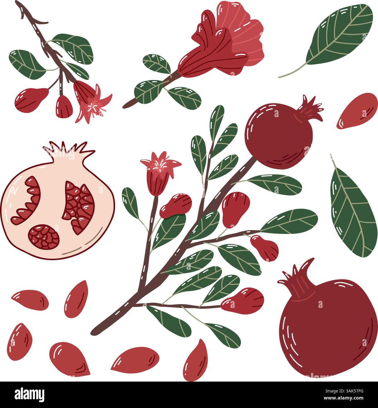 Illustration de grenade dessinée à la main avec des fruits, des fleurs et des feuilles Illustration de Vecteur
