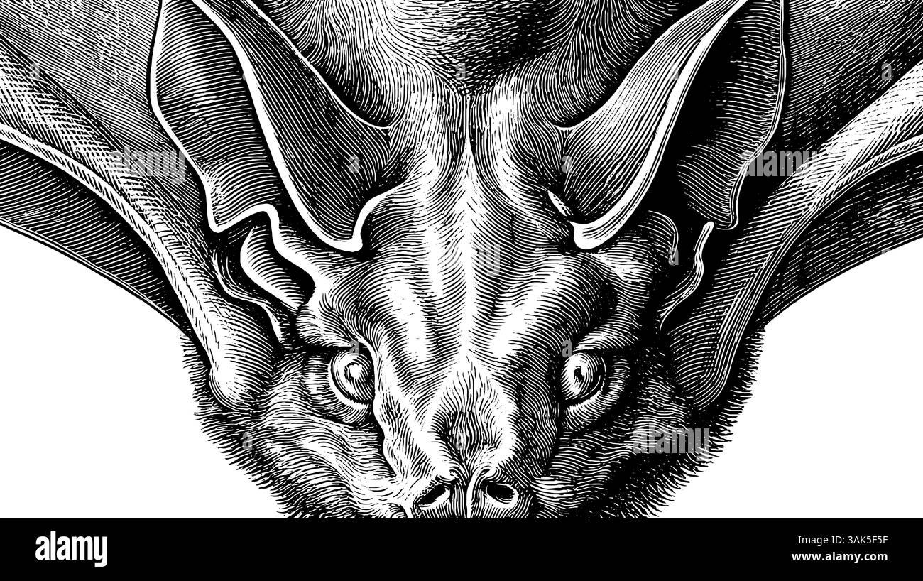 Illustration complexe de chauve-souris gravée pour des motifs sur le thème de la nature. Illustration de Vecteur