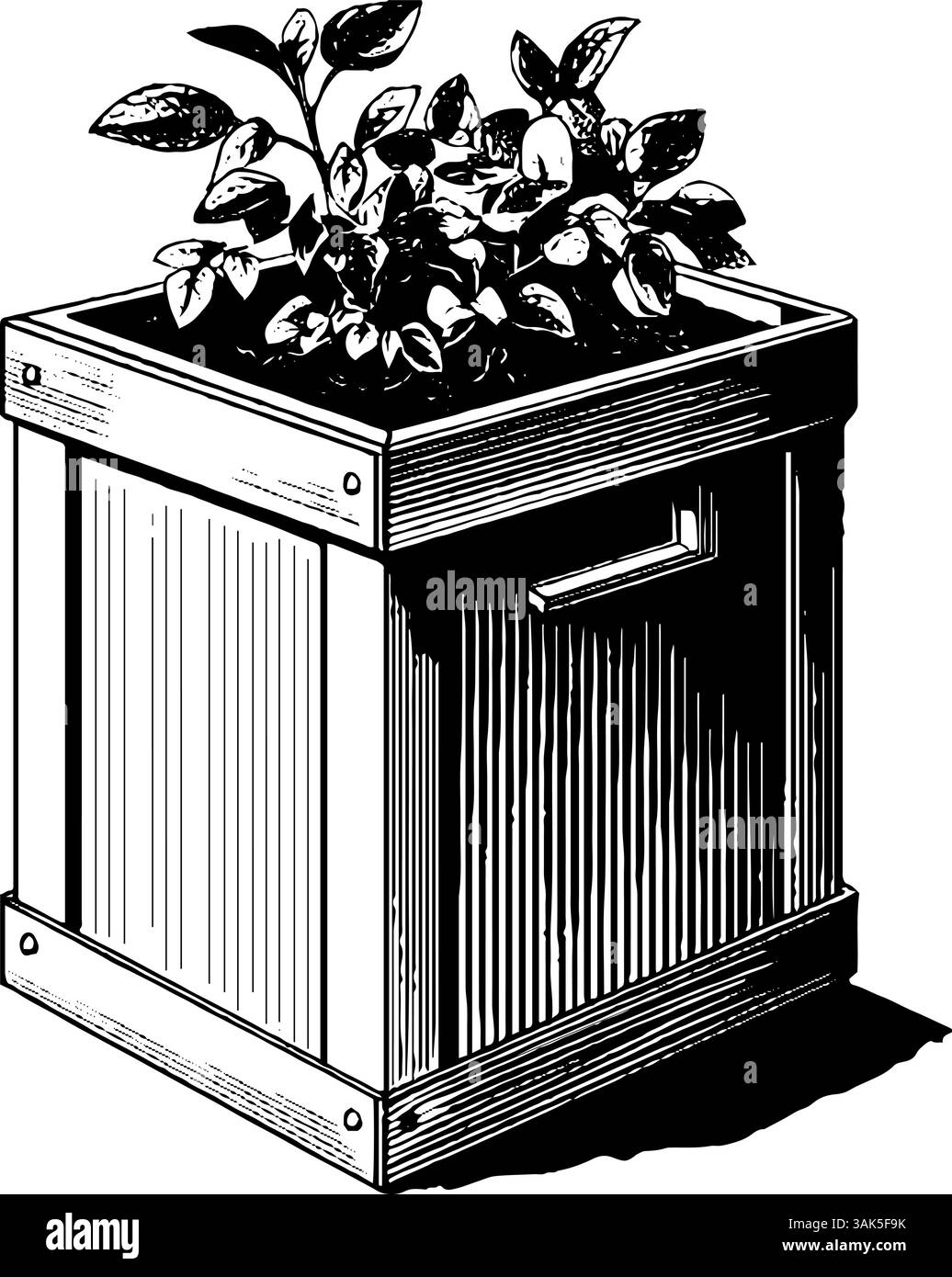 Illustration botanique gravée du bac à compost avec des plantes de jardin pour un design écologique. Illustration de Vecteur