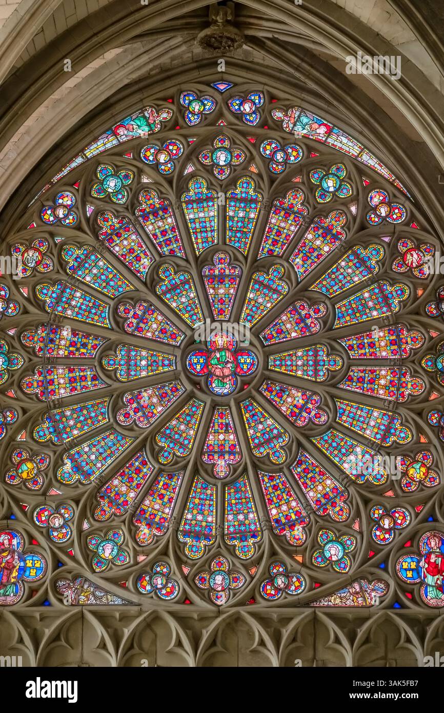 Intérieur de la Cathédrale Nazaire et de la Cathédrale de Saint Celse à Carcassonne, France Banque D'Images