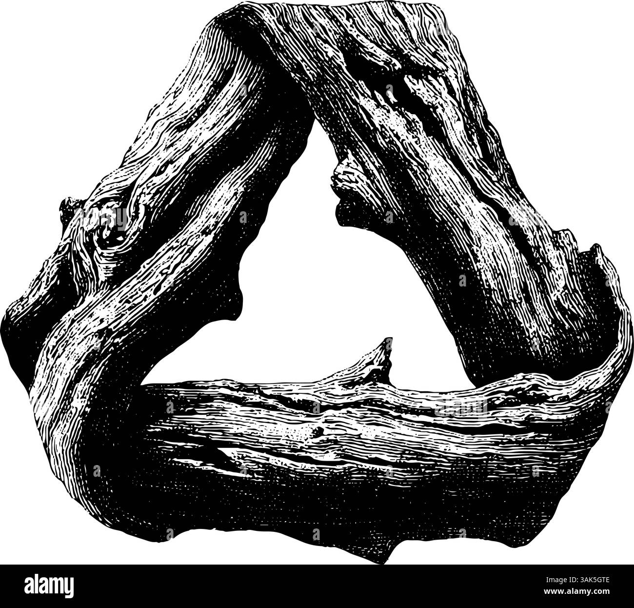 Illustration gravée d'un mouton avec de la laine bouclée pour le design vintage. Illustration de Vecteur