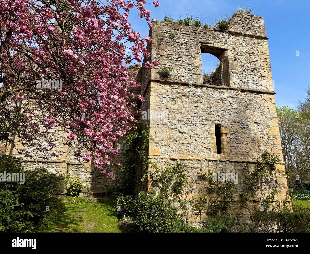 Les ruines historiques du palais de l'archevêque à Southwell Minster, Southwell, Nottinghamshire, Angleterre, Royaume-Uni Banque D'Images