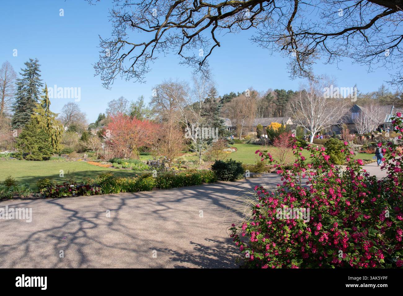 RHS Harlow Carr, une journée de printemps ensoleillée Banque D'Images