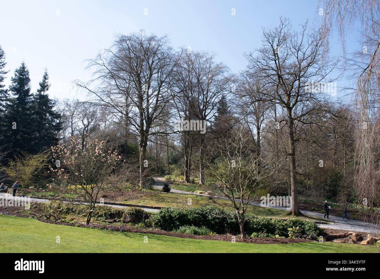 RHS Harlow Carr, une journée de printemps ensoleillée Banque D'Images