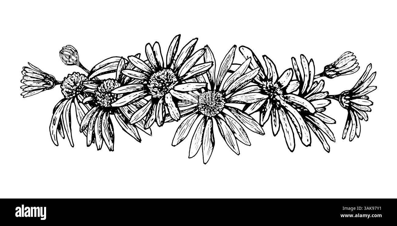 Composition florale dessinée à la main avec des fleurs sauvages ressemblant à des marguerites. Comprend des éléments qui peuvent ressembler à l'échinacée, à la camomille, au calendula ou à la rudbeckia. Adapté Illustration de Vecteur Composition florale dessinée à la main avec des fleurs sauvages ressemblant à des marguerites. Comprend des éléments qui peuvent ressembler à l'échinacée, à la camomille, au calendula ou à la rudbeckia. Adapté Illustration de Vecteur