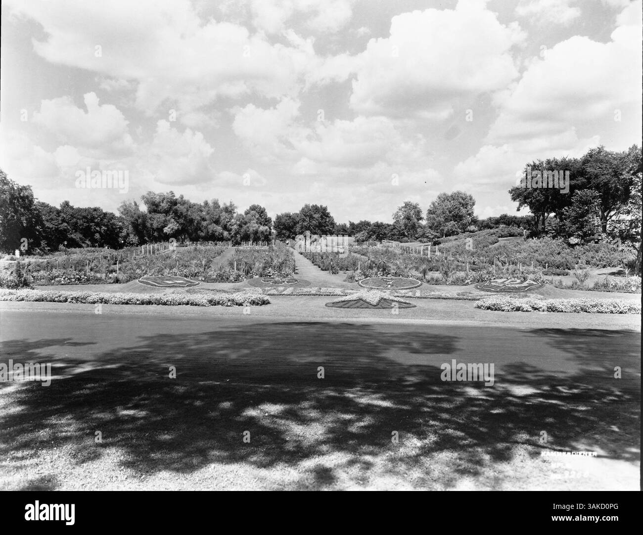Le Lyndale Park Rose Gardens, situé à Minneapolis, présente une variété de roses, offrant une escapade paisible et colorée pour les visiteurs. Le jardin est une caractéristique importante du paysage de la ville et une attraction locale bien-aimée. Banque D'Images