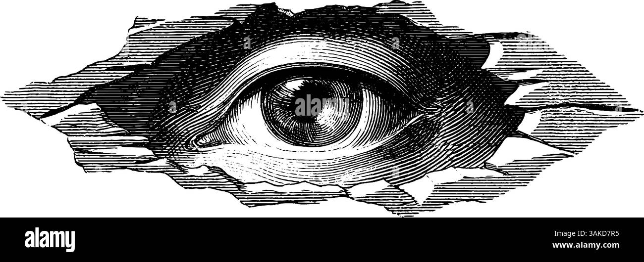 Oeil surréaliste dans l'illustration en verre brisé reflétant le mystère et l'intrigue pour les conceptions créatives. Illustration de Vecteur