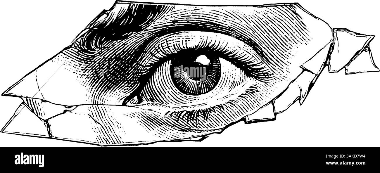 Gravure complexe d'un oeil dans un miroir fragmenté pour le design artistique. Illustration de Vecteur