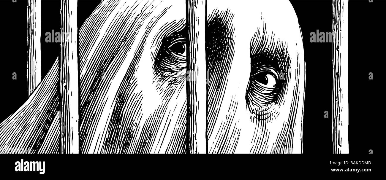 Mystérieuse figure fantomatique derrière les barreaux - illustration gravée pour des thèmes effrayants. Illustration de Vecteur