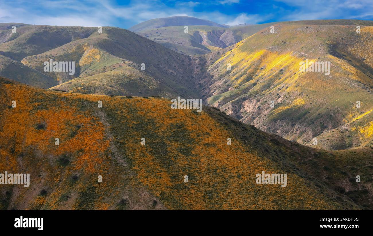 Paysage pittoresque du monument national des plaines de Carrizo en Californie avec des fleurs sauvages colorées sur les collines ondulantes Banque D'Images